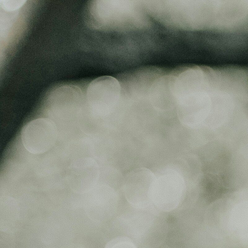 Profile picture of himesh