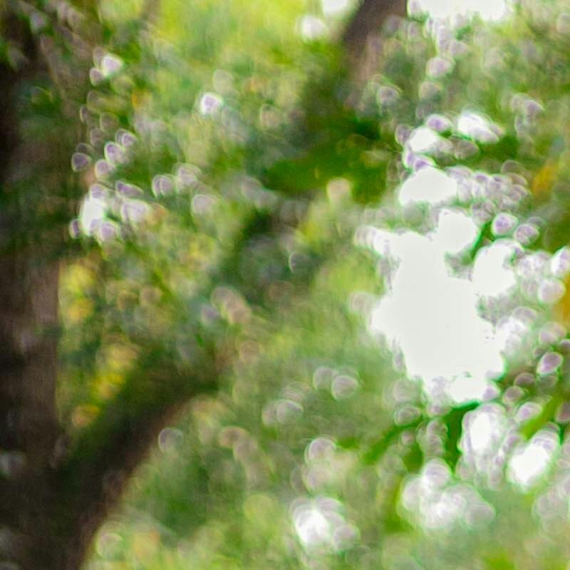 Profile picture of SumitKumar